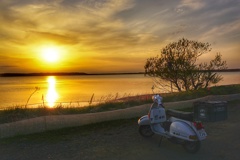 相棒と眺める北海道の夕日