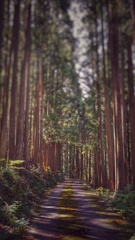 人工物と自然の融合