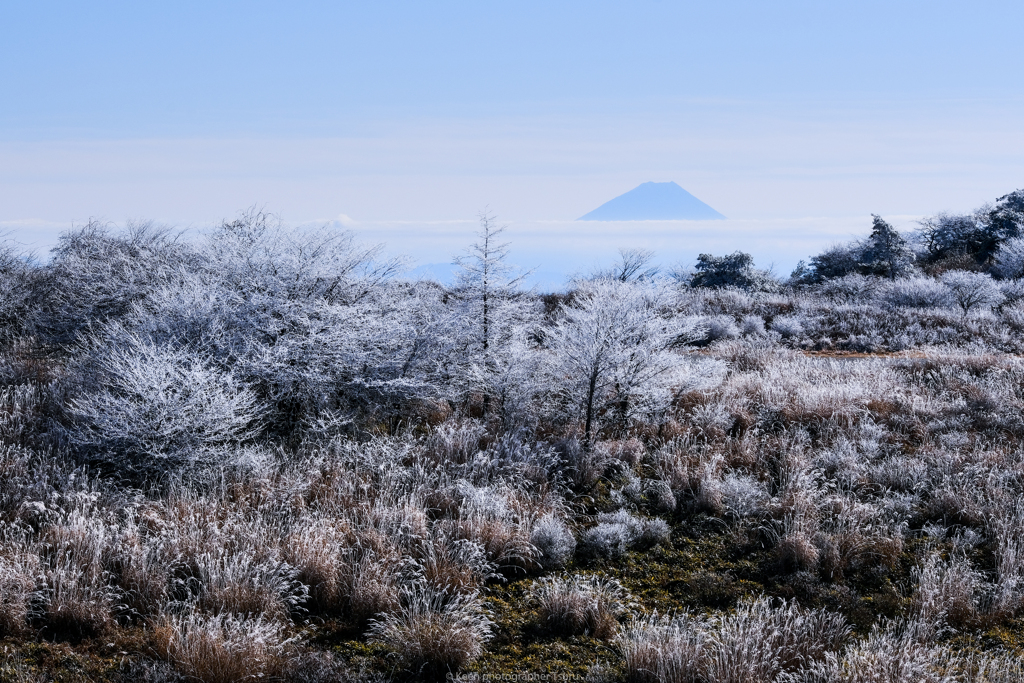 霧氷の草木と遠い富士