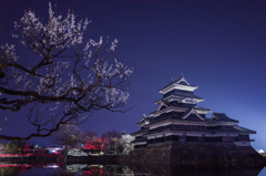 梅と城