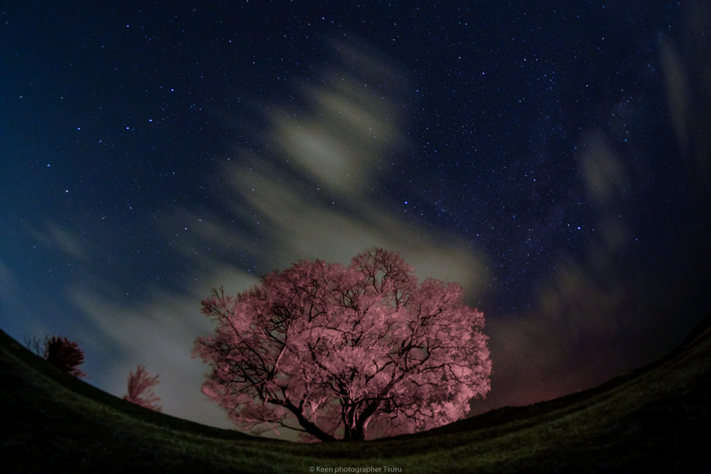 北斗七星と