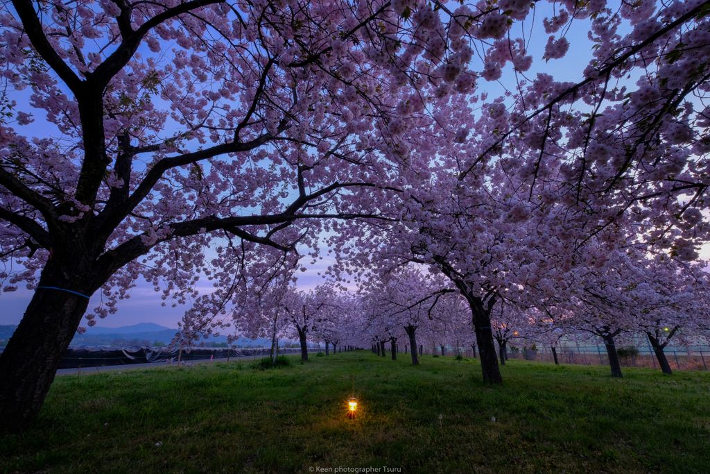 夜から朝へ