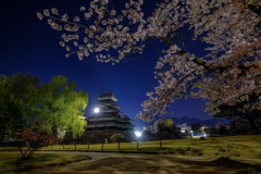 春の松本城