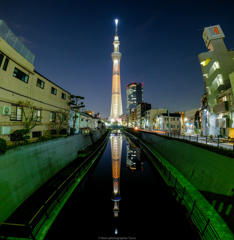 久しぶりのスカイツリー