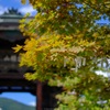 善光寺にて
