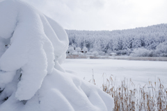 雪