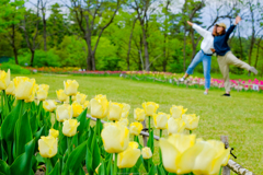 ウキウキの春