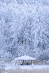 湖畔の東屋