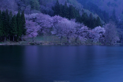 風が強い朝