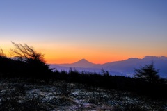 夜明けの頃、富士を望む