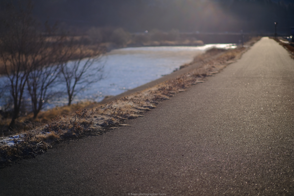 堤防道路