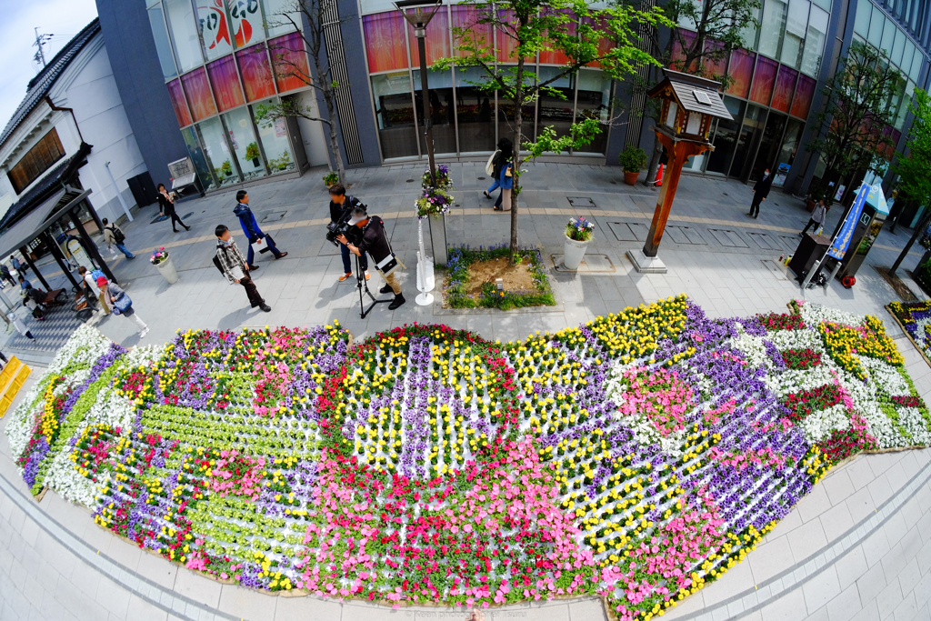 いつかの花回廊