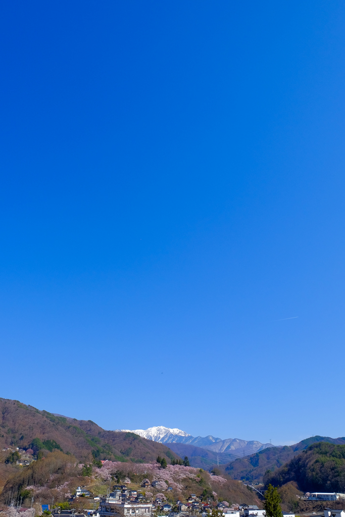 高遠城址公園を望む