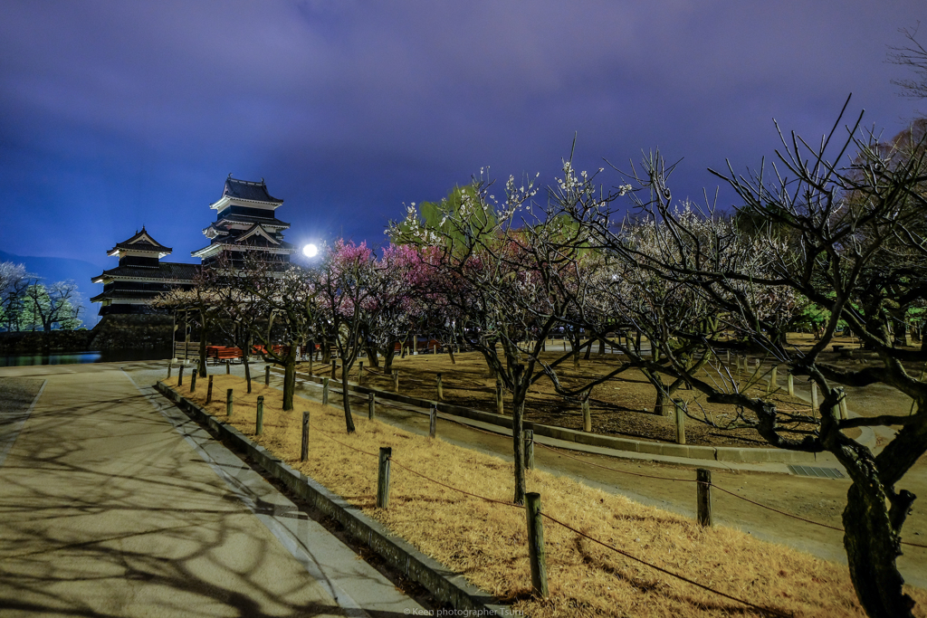 梅と城