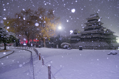 雪の朝4