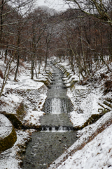 春の雪