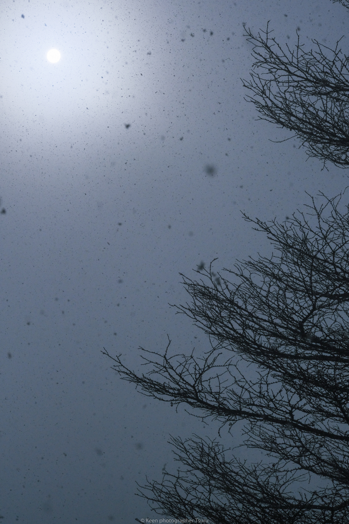 雪と太陽
