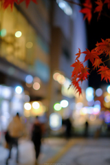 街の紅葉