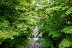 雨に濡れて