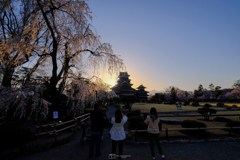 夕刻の城