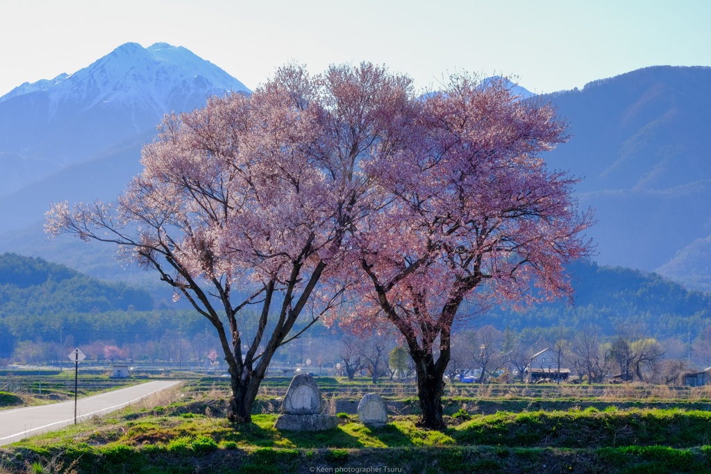 常念道祖神の春
