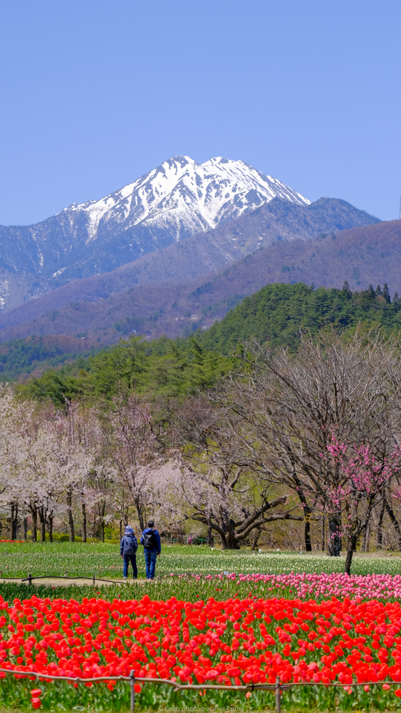 景色を楽しむ