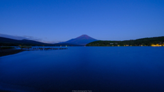 青朝