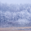 樹氷と舞う雪