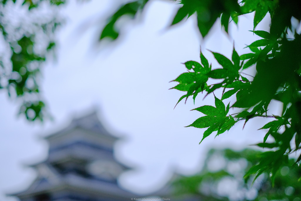 雨上がり