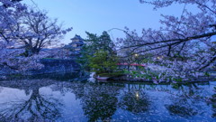 花筏のお堀