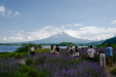 みんな大好き富士山