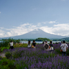 みんな大好き富士山