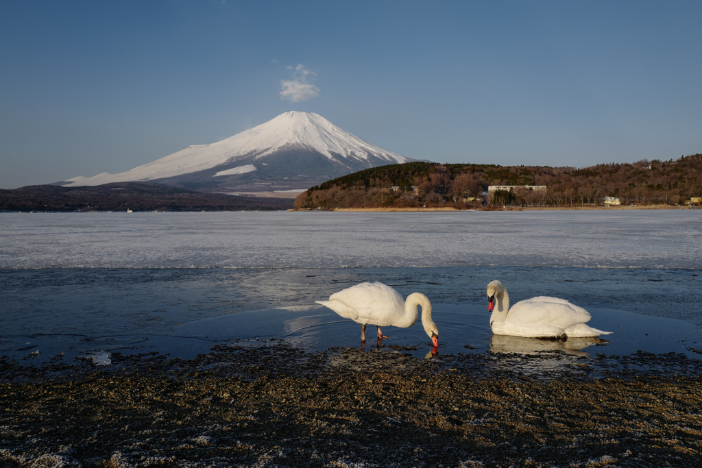 凍える湖