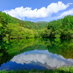 大沢の堤