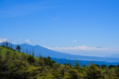 遠くの富士