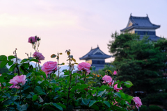 バラと城