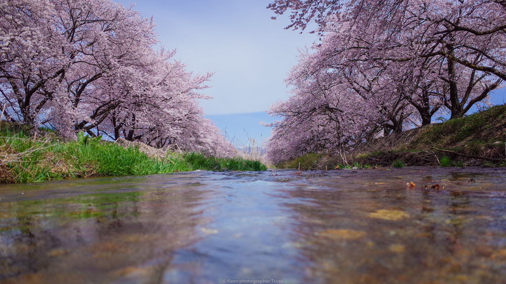黒沢川