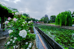 薔薇と城