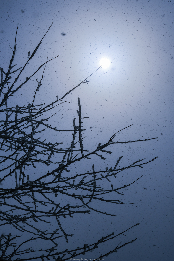 舞う雪と太陽