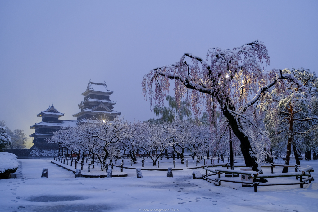 春の雪