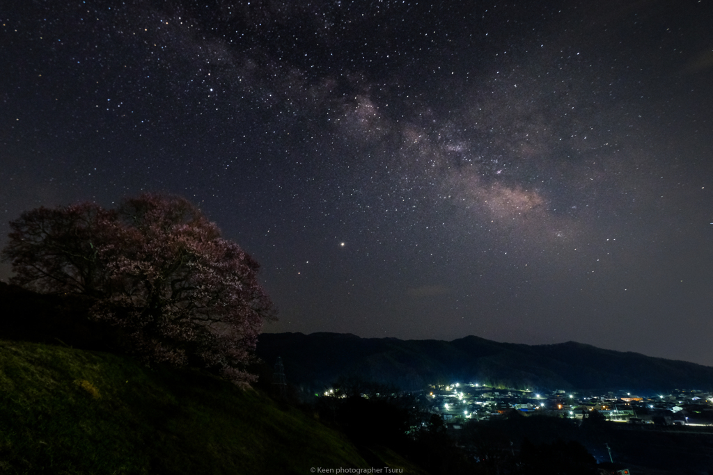 桜も里も宙の下