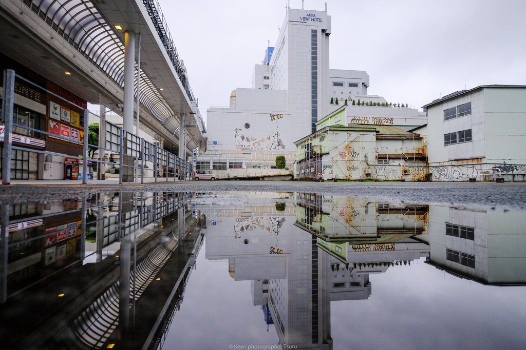 水たまりの世界