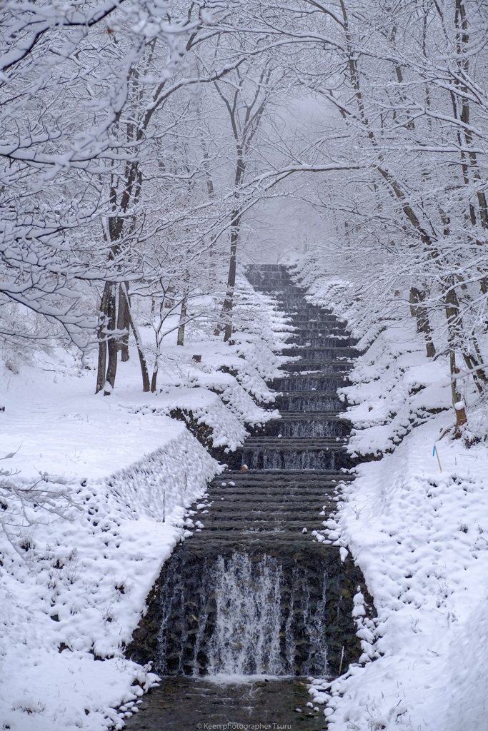 雪の階段工