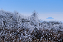 霧氷