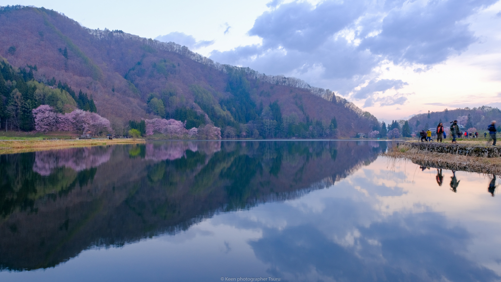 中綱湖オオヤマザクラ