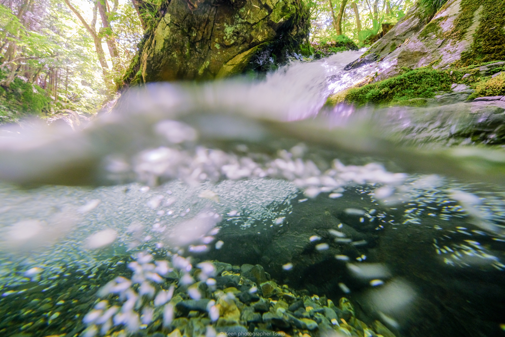 水泡
