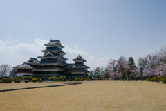 桜のころ