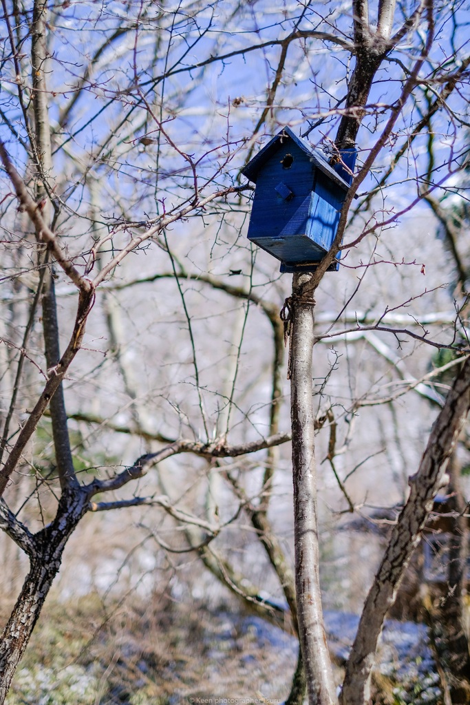 鳥小屋