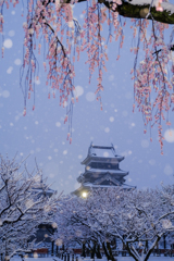 春に降る雪