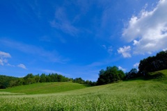 中山高原